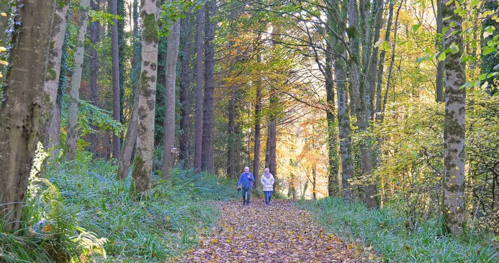 Kolorowy spacer – spacer kolorami – czy to technika mindfulness? Kolorowy spacer – spacer kolorami – czy to technika mindfulness?